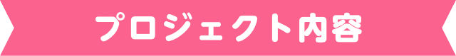 プロジェクト内容