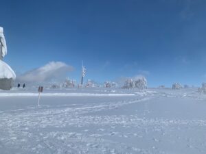 スキー部×旅行部 北海道旅行に行ってきました！