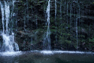 【新規物件取得】箱根小涌谷で新規取得の別荘を社員寮に!自然と遊び心満載の新生活スタート!