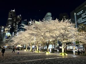 【竣工】SENDAGAYA TERRACEの魅力